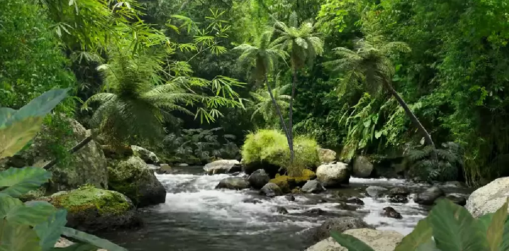 Relaxing Native American Flute Music and Rainforest Water Sounds To Calm Your Mind